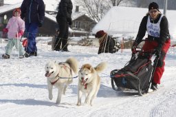 Lenk 2012 SM